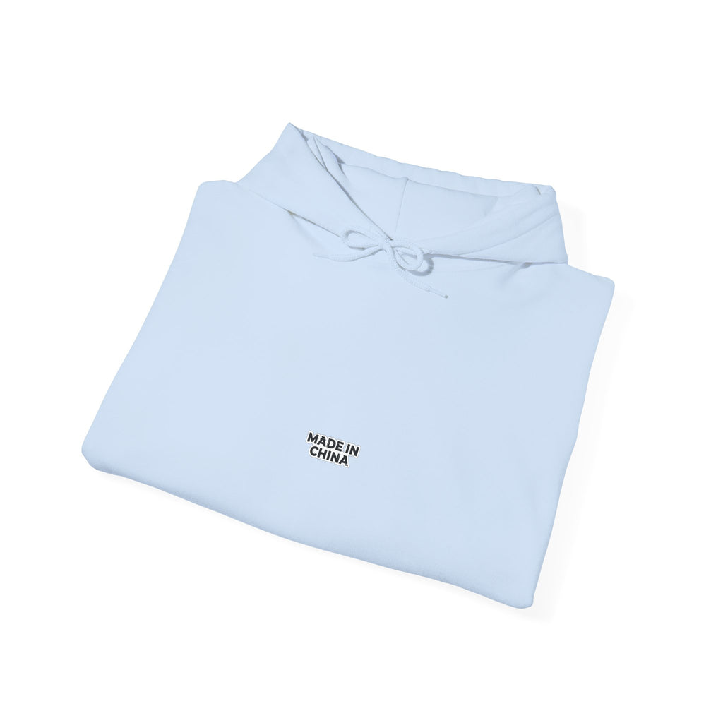 MADE IN CHINA Hoodie