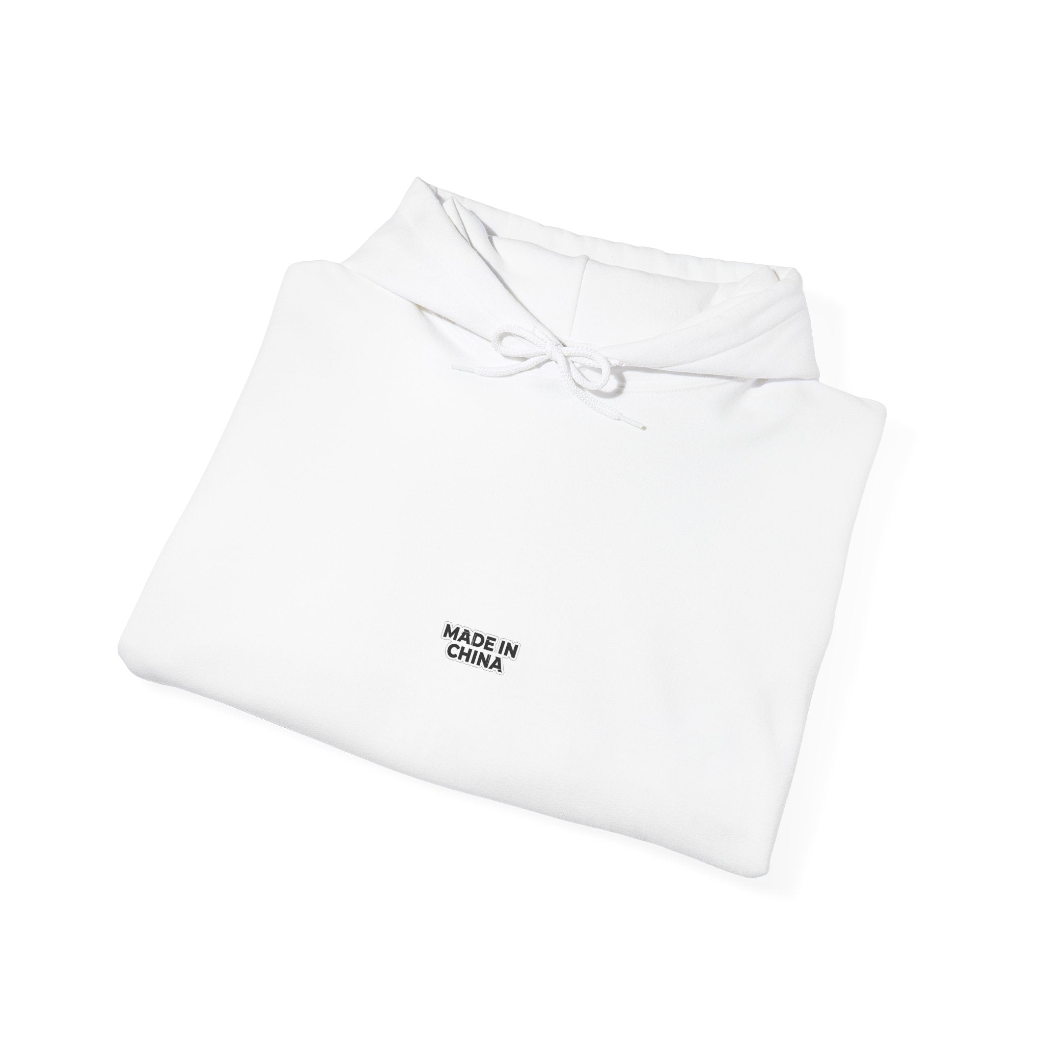 MADE IN CHINA Hoodie