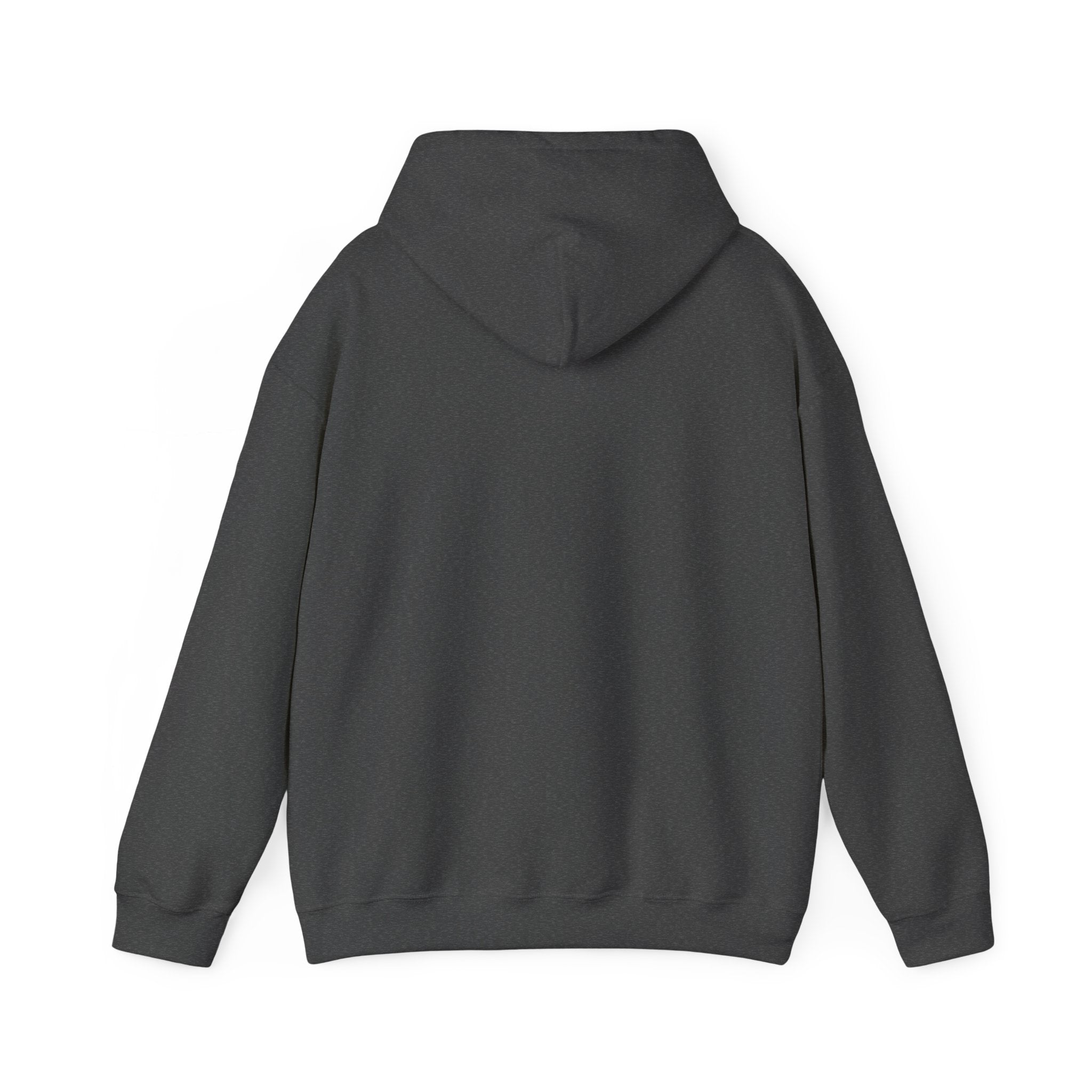 Patagucci Hoodie