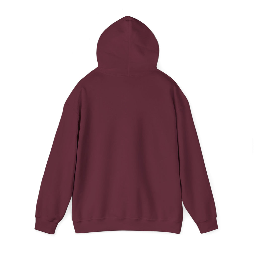 Patagucci Hoodie