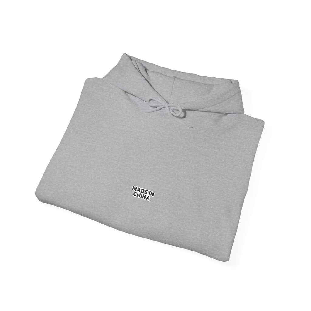 MADE IN CHINA Hoodie