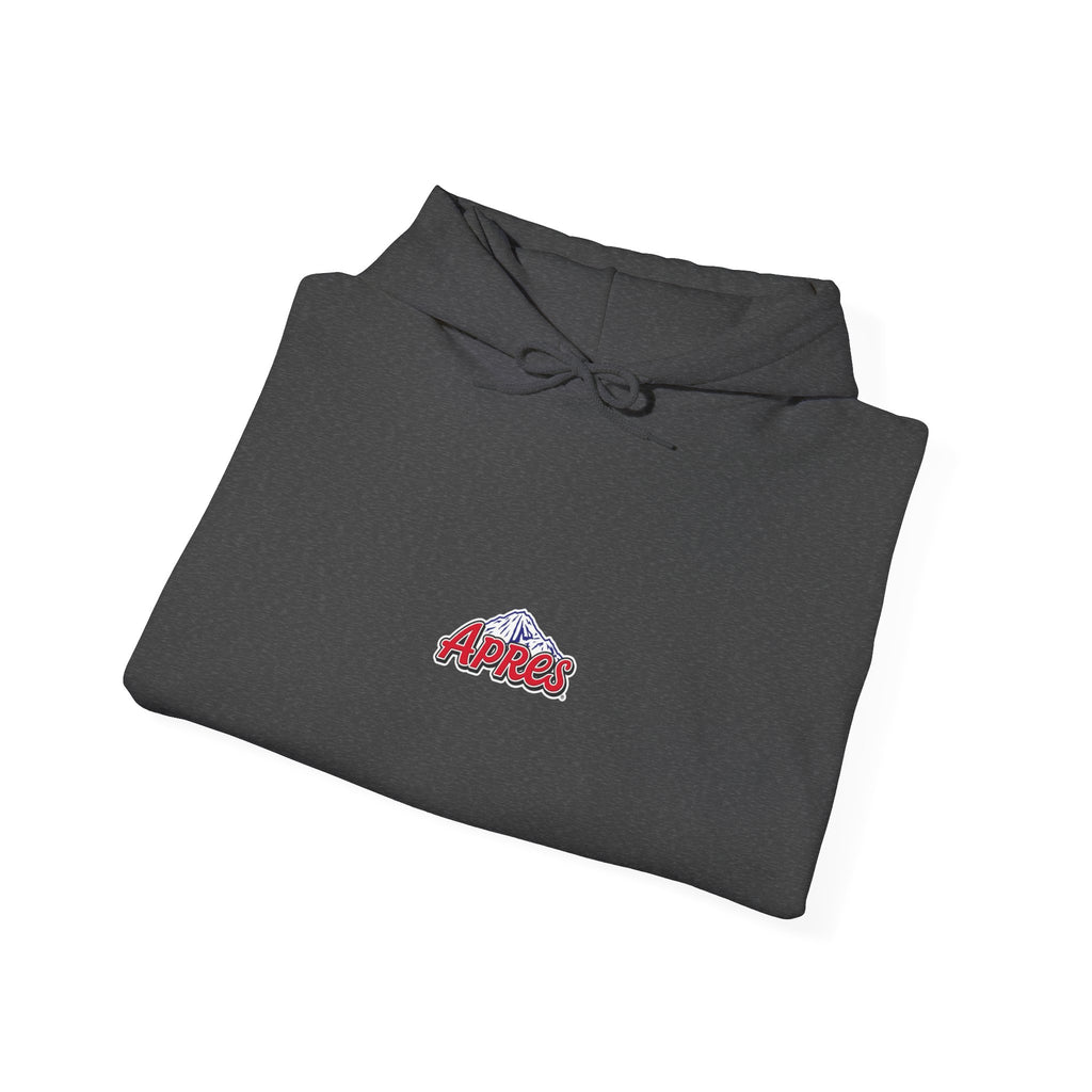 Apres Hoodie