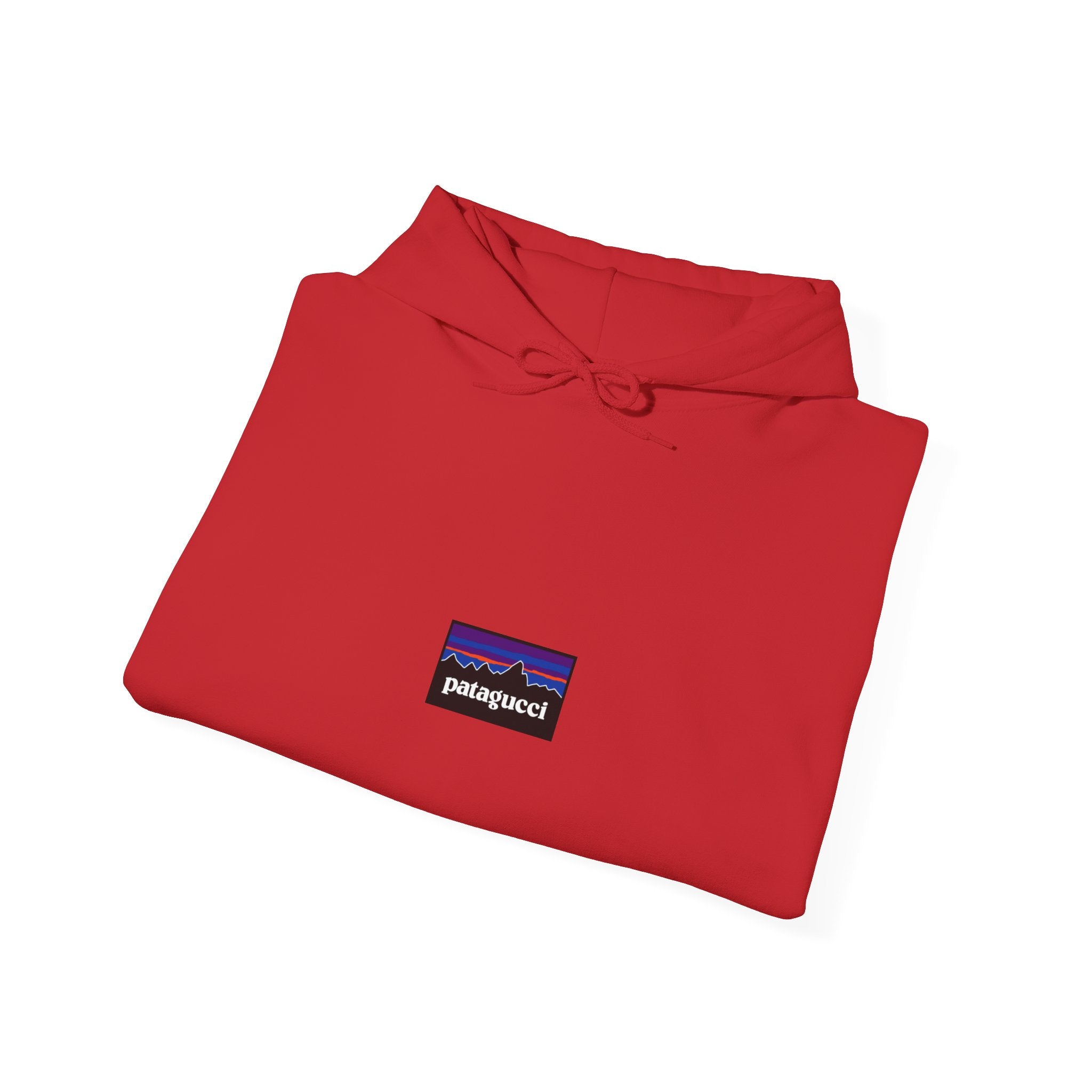 Patagucci Hoodie