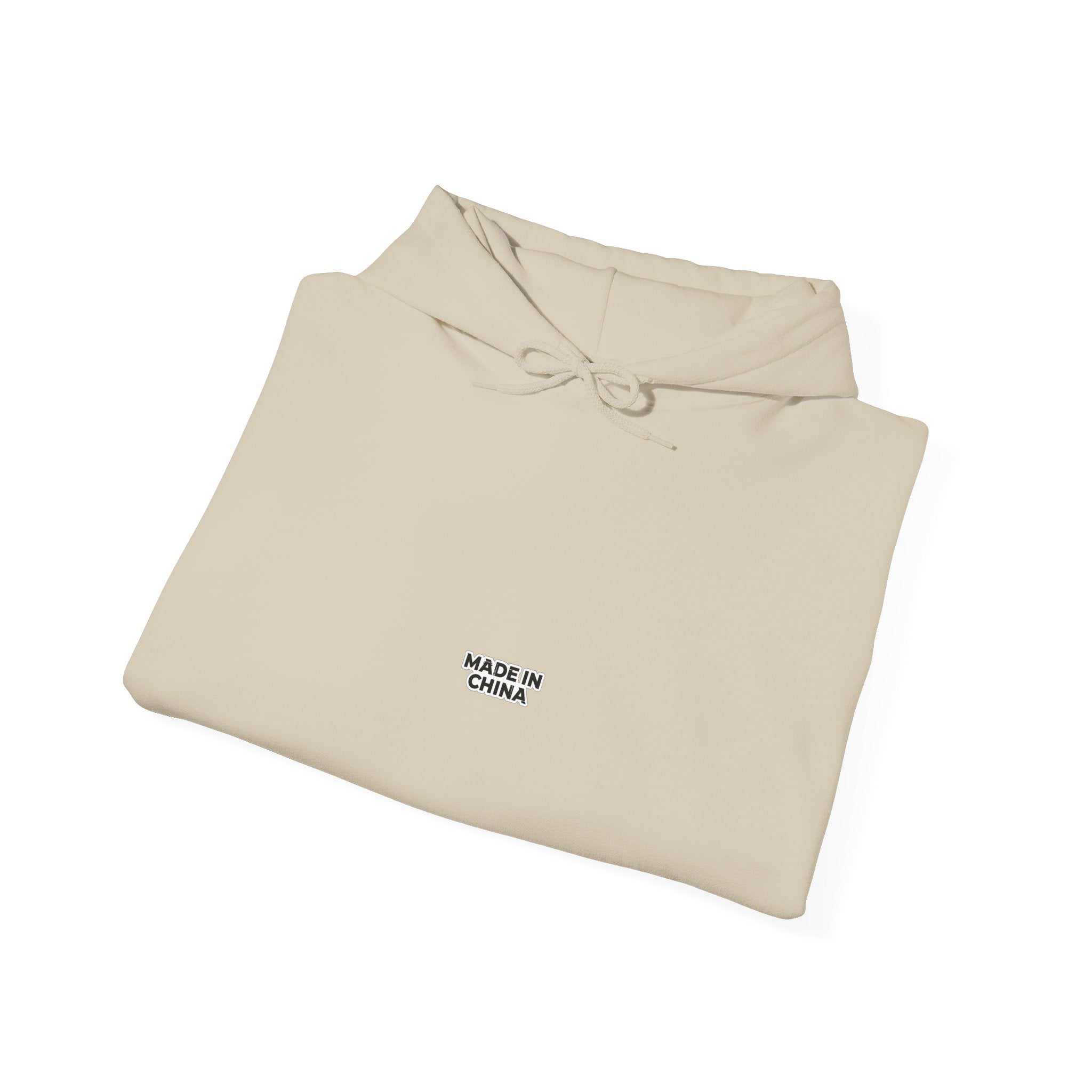 MADE IN CHINA Hoodie
