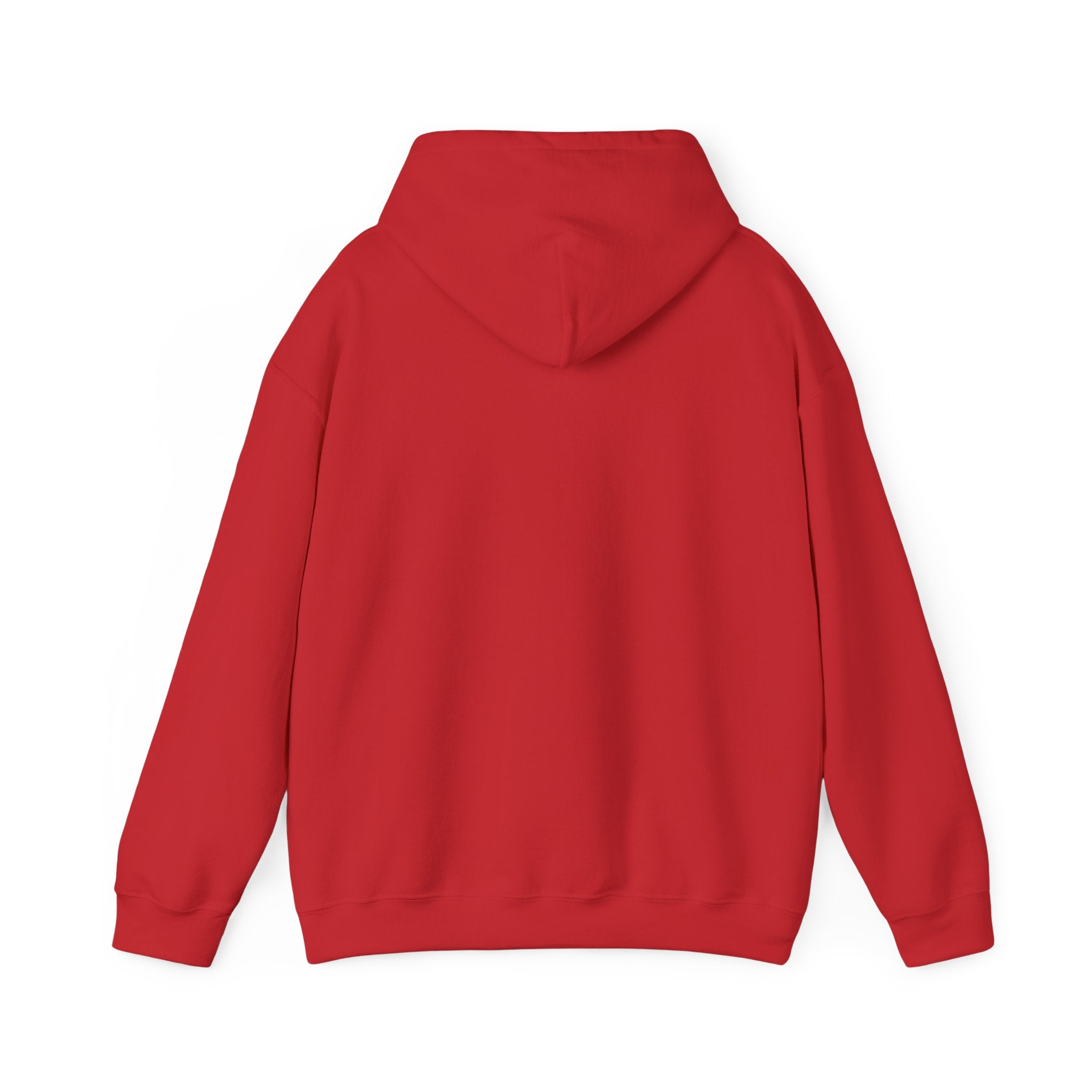 Patagucci Hoodie