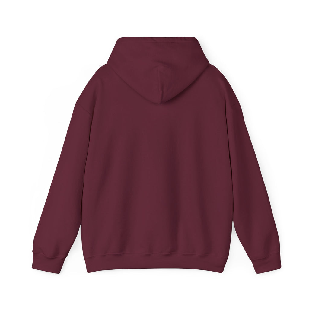 MADE IN CHINA Hoodie