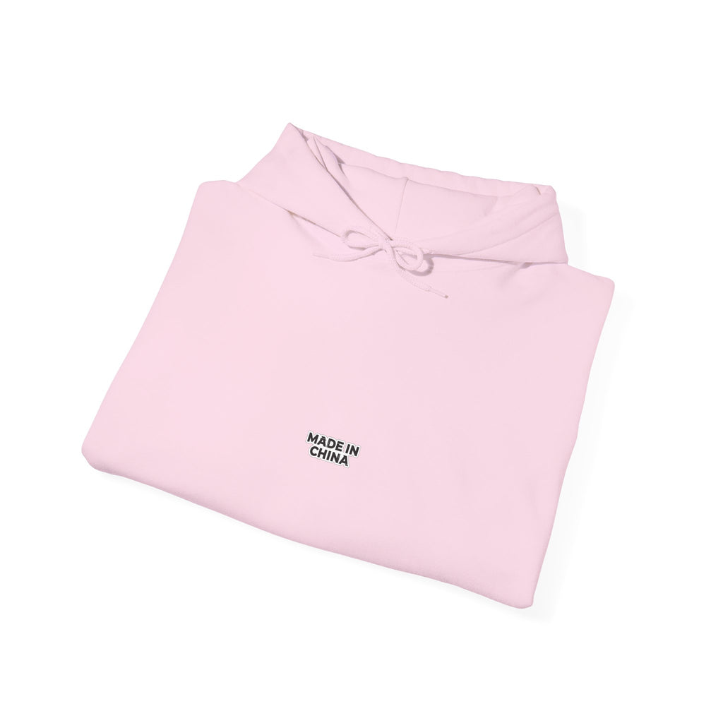 MADE IN CHINA Hoodie